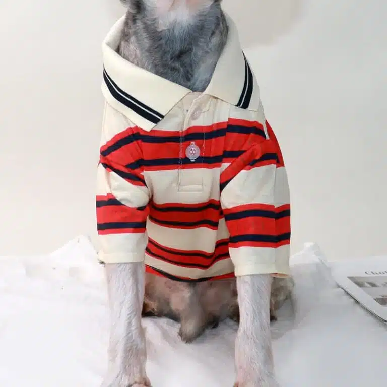 striped dog shirt