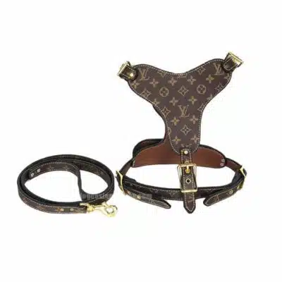 Dog Harness & harness leash set