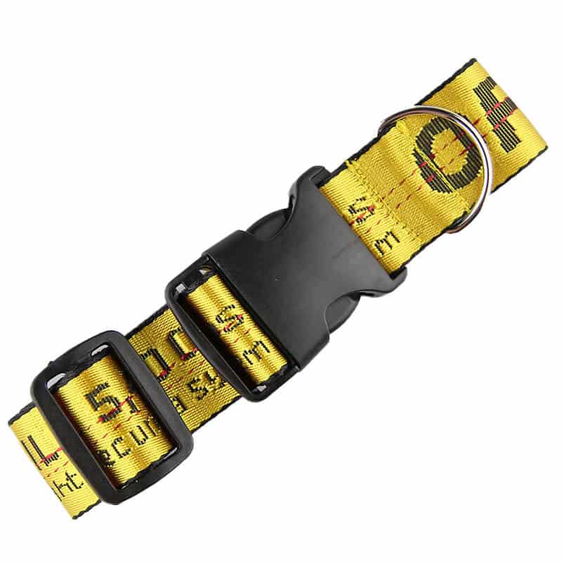 offwhite dog collars 1