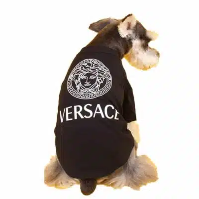 versace dog clothes