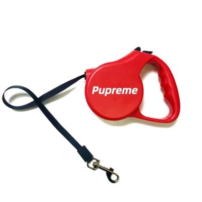 dog automatic leash