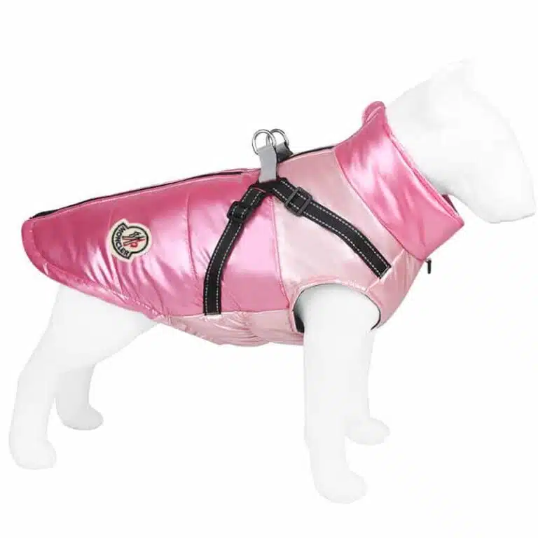 Moncler jacket for dogs