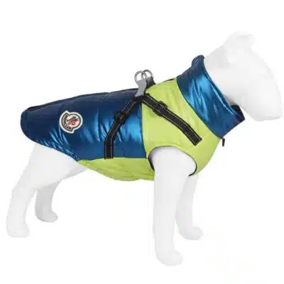 Moncler jacket for dogs