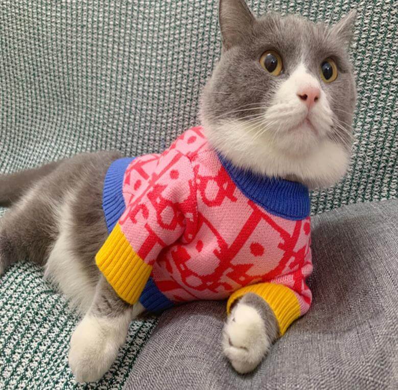 Dior cat sweaters CAT001# - Dog Designer Shop