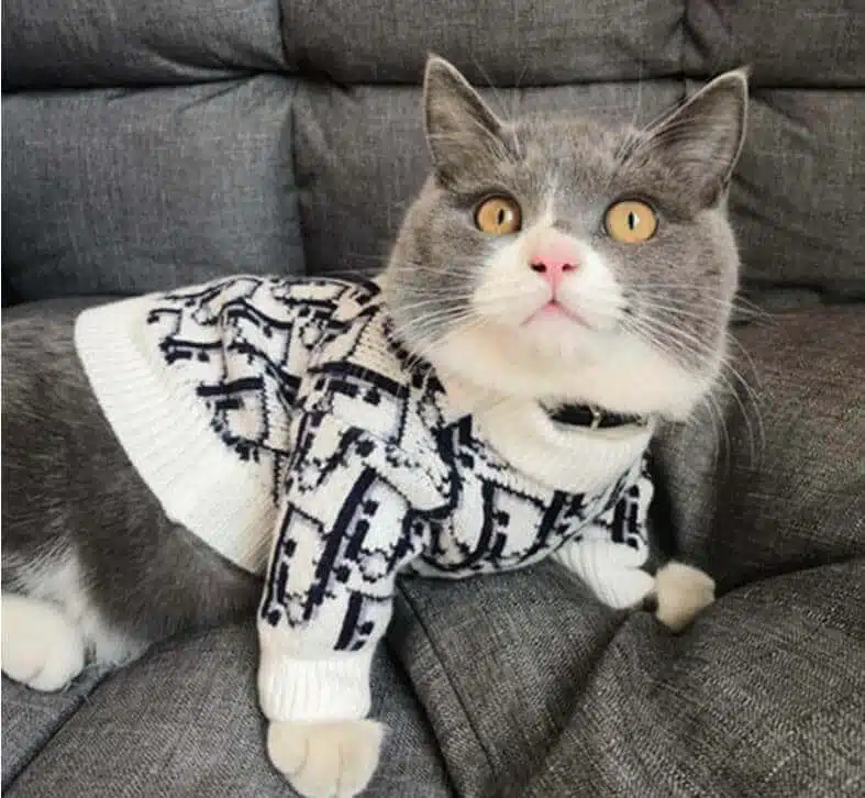 louis vuitton cat sweater