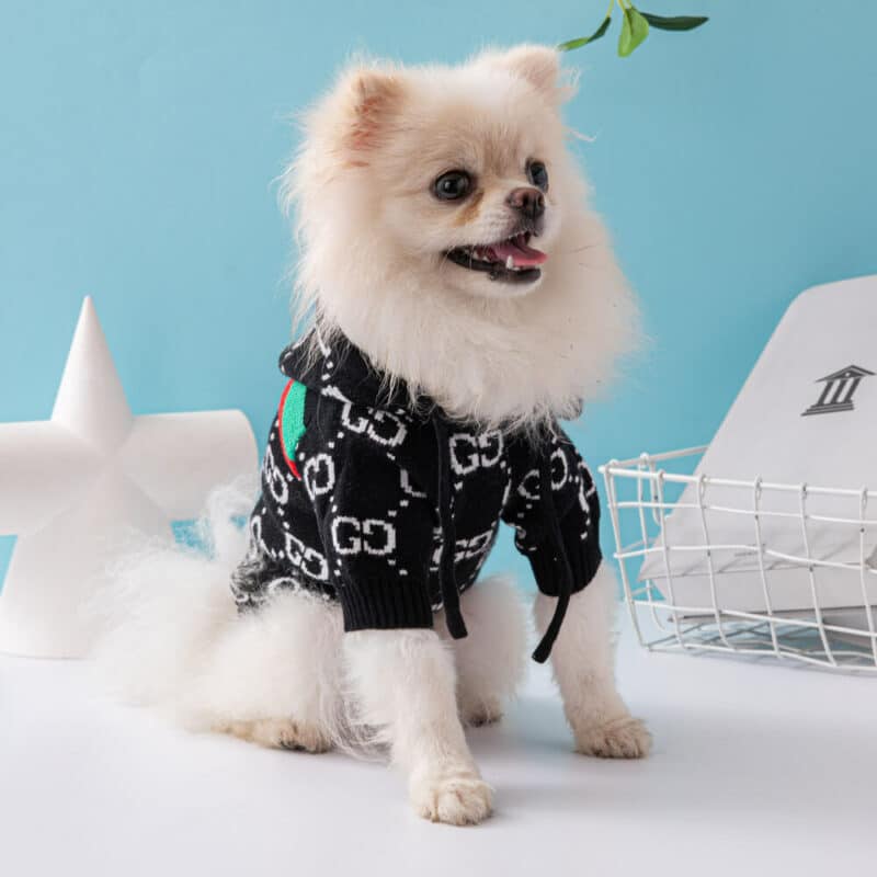 stylish dog sweaters 4