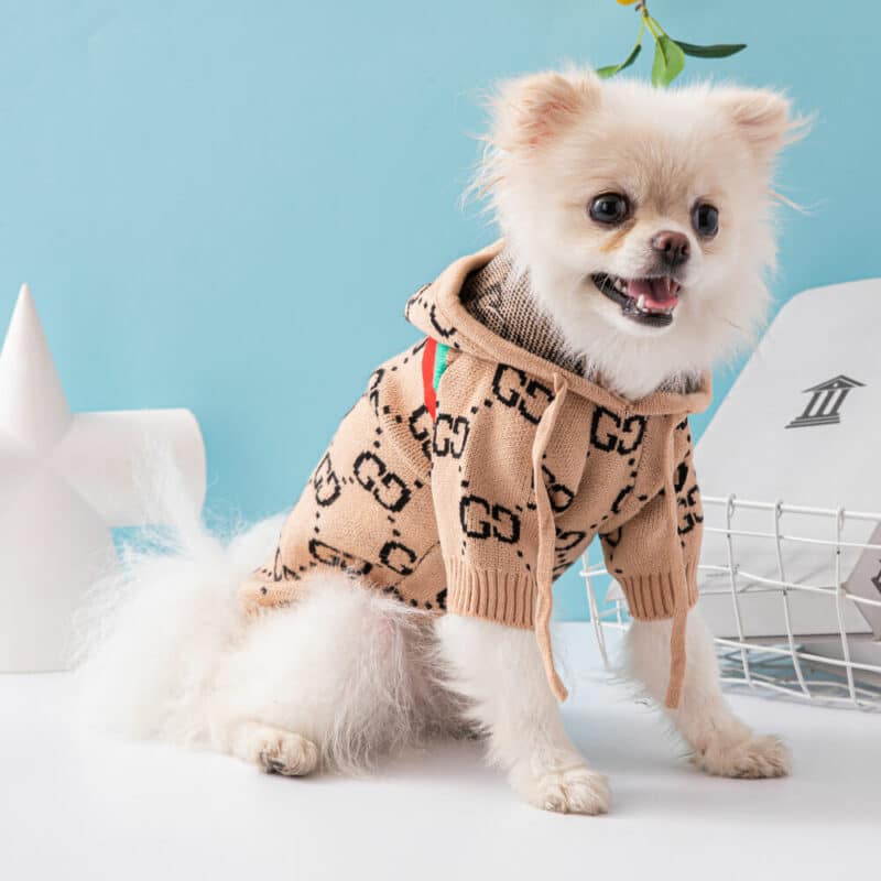 stylish dog sweaters 6