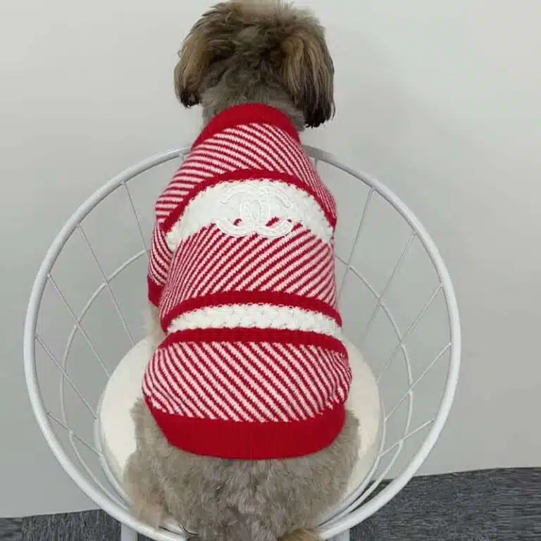 Cute Dog sweater for sale