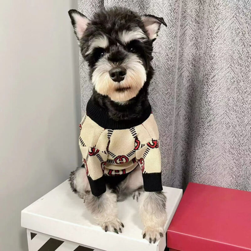Gucci dog clothes store 3