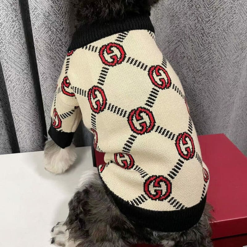 Gucci dog clothes store 4