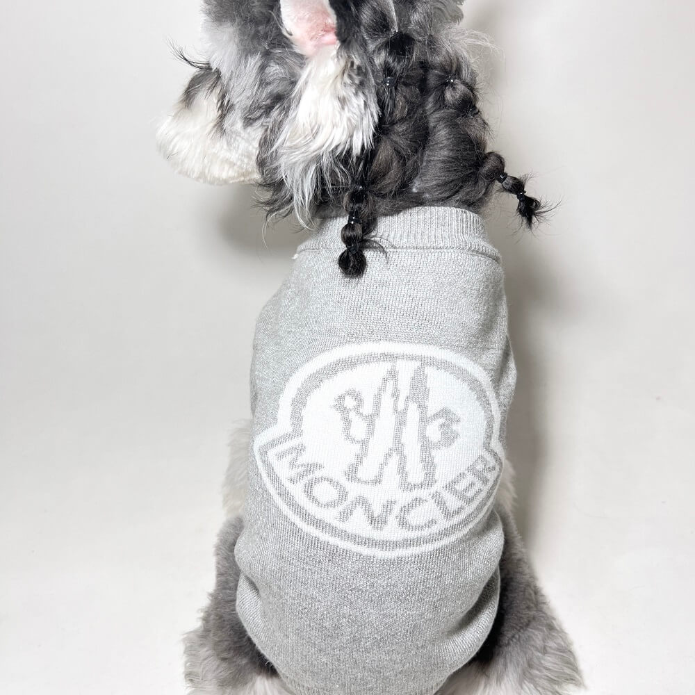 grey dog sweaters