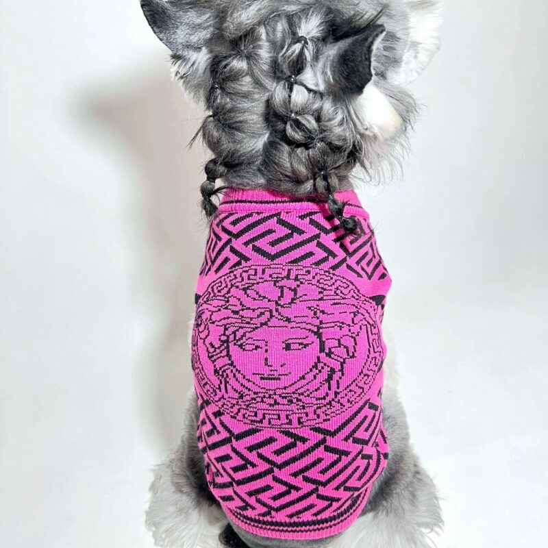 versace dog sweater