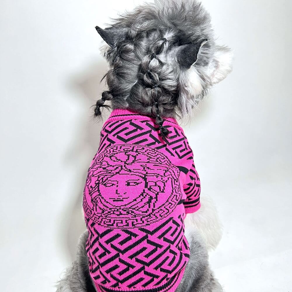 versace dog sweater