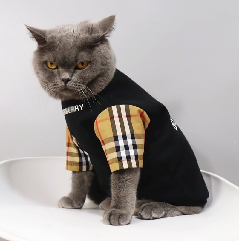 Burberry tacocat shirt 1