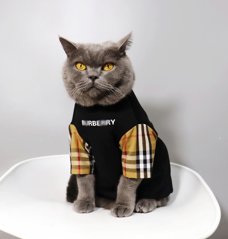Burberry tacocat shirt 3