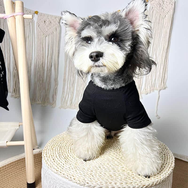custom dog clothes w536 Dog Designer Shop
