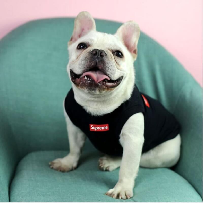 Louis Pawtton X Pupreme Hero Designer Dog Harness | Supreme Dog Garage