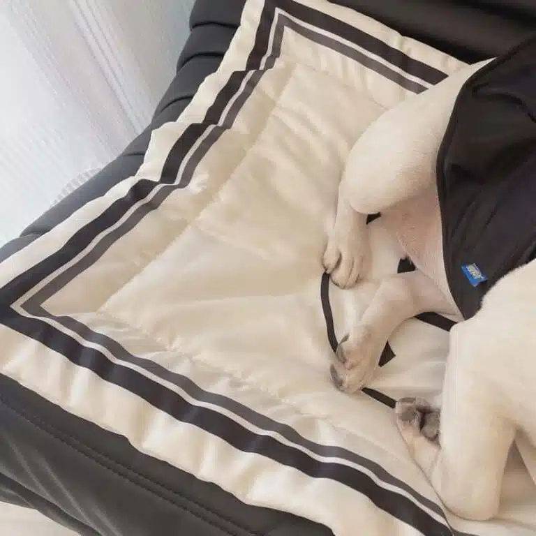 Chanel dog sleeping mat