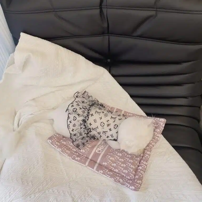 Dior dog sleeping mat