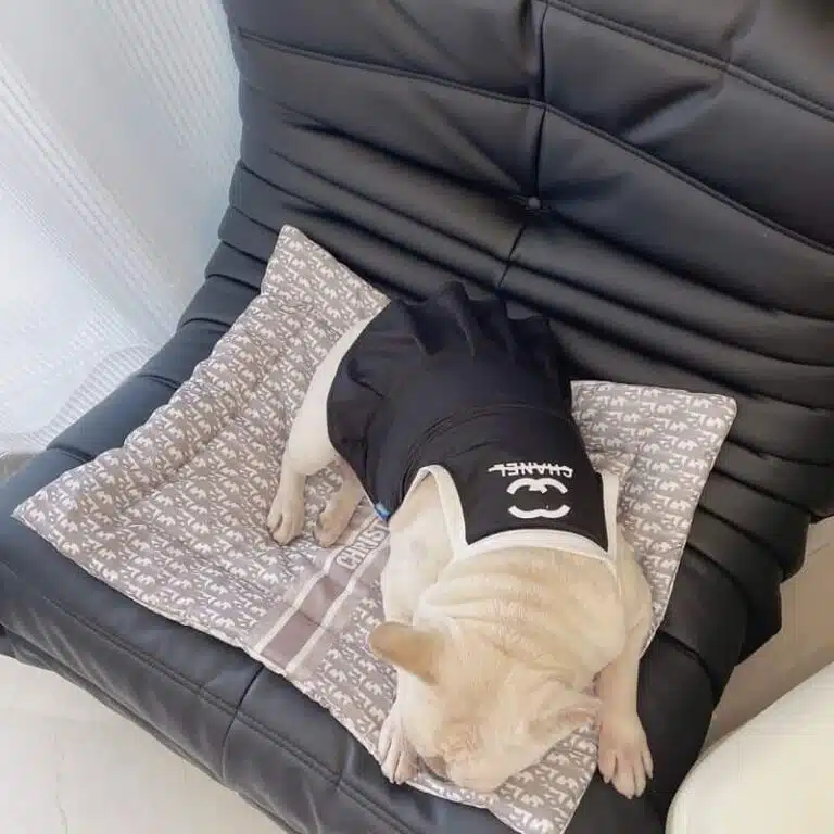 Dior dog sleeping mat