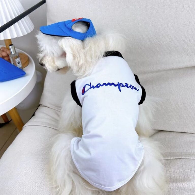 champion brand dog clothes