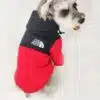 the dog face hoody