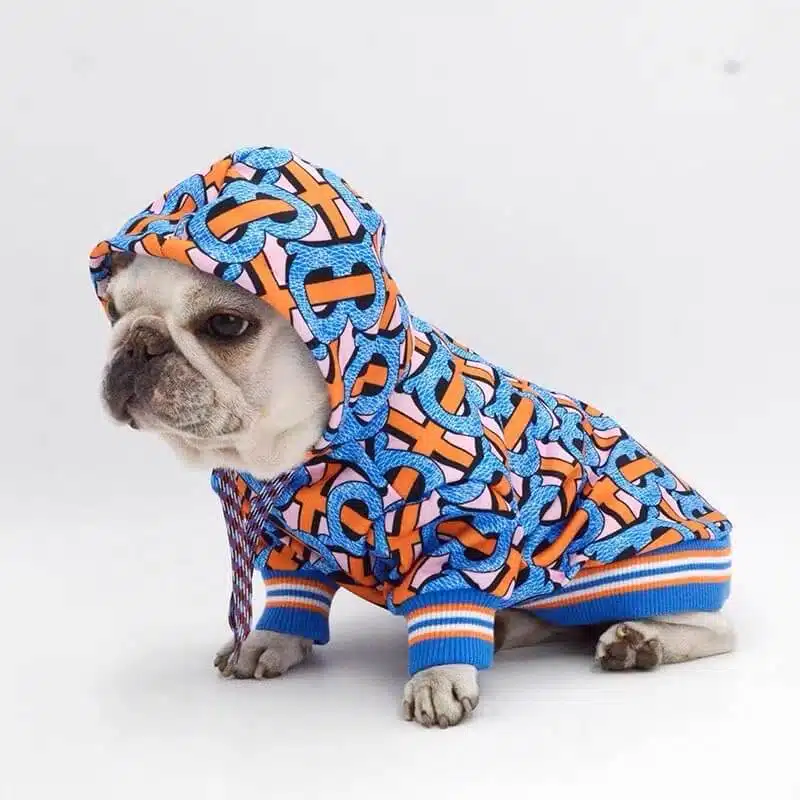 Burberry dog hoodie