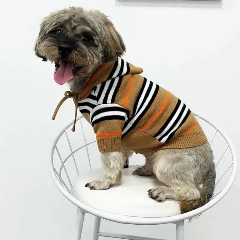 BURBERRY happy hoodie for dogs