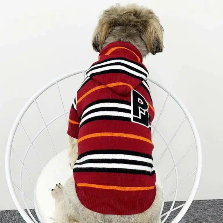 BURBERRY happy hoodie for dogs