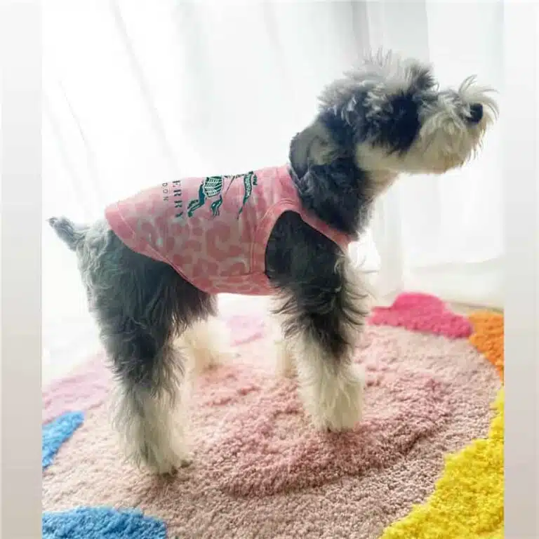 Burberry tank top for dogs