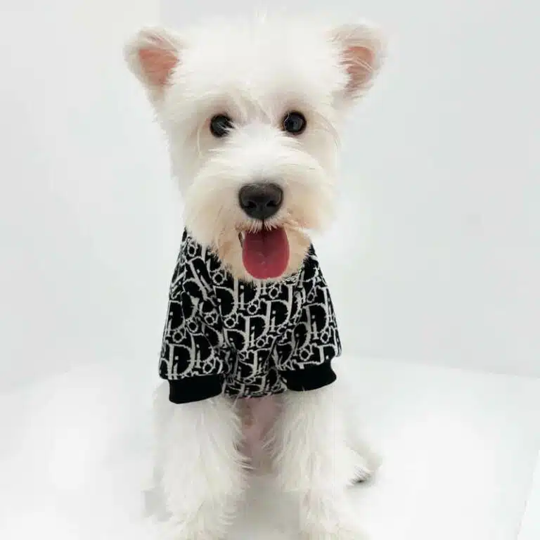 DIOR dog sweaters for large dogs