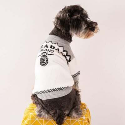 Designer dog PRADA clothes
