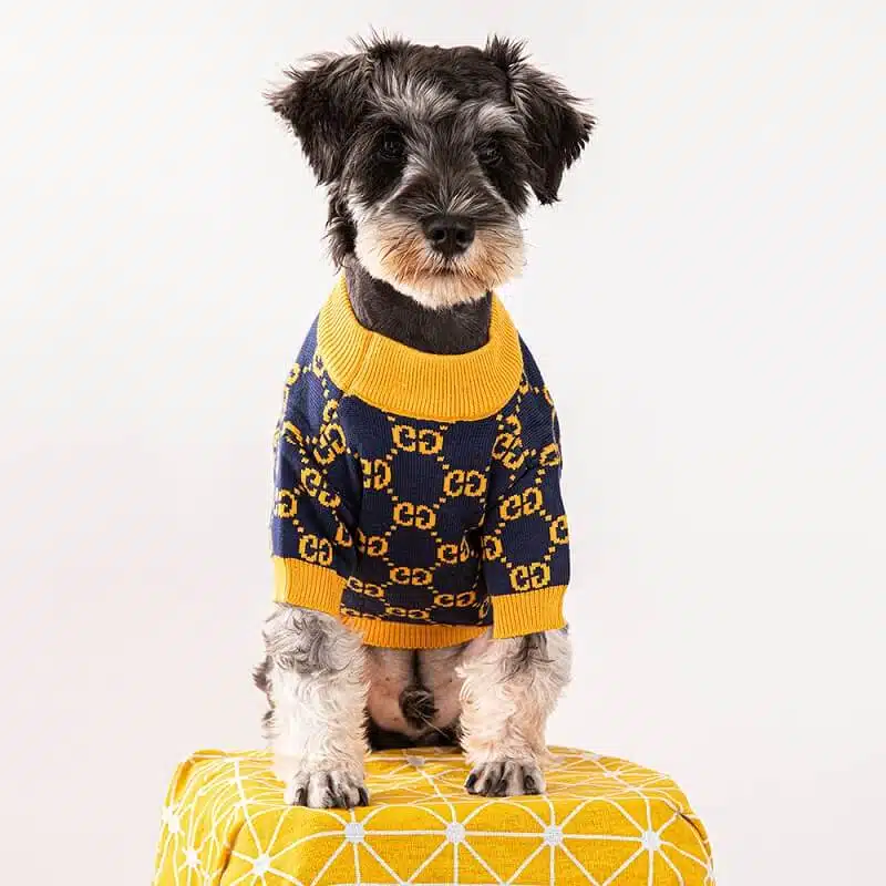 Designer dog clothes Gucci