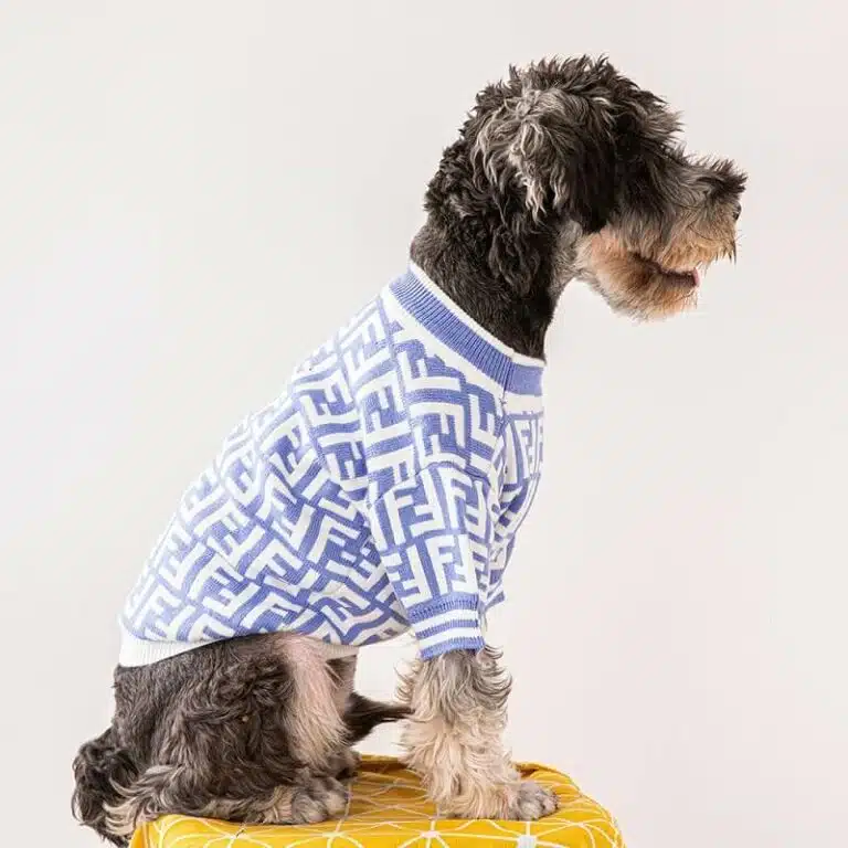 FENDI french bulldog sweater
