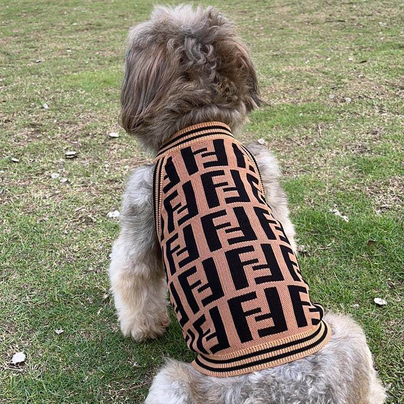 Fendi designer dog clothes