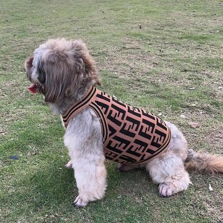 Fendi designer dog clothes