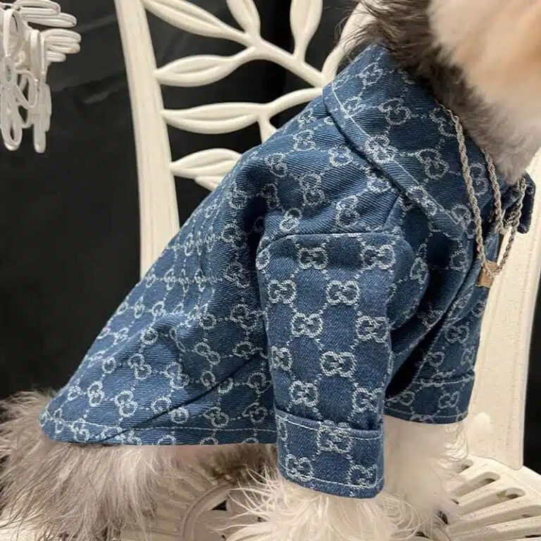 Gucci Denim big dog clothes
