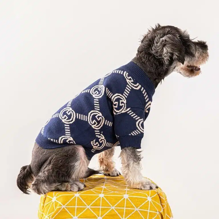 Gucci clothes for dogs