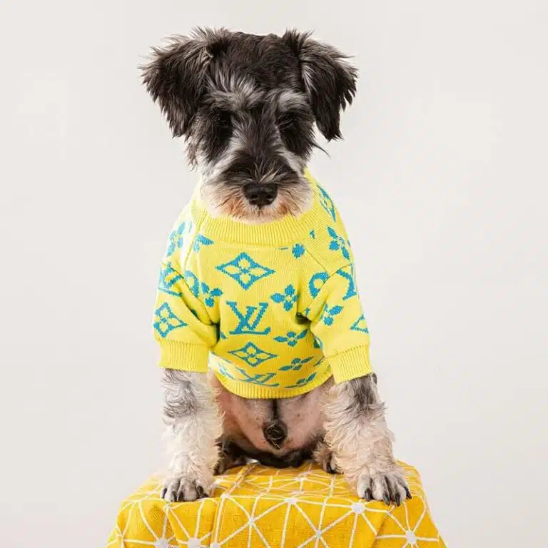 LV puppy sweater