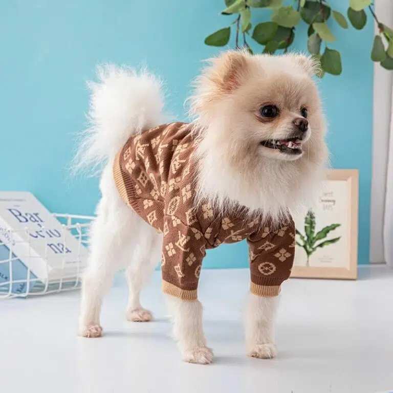 LV xxl dog sweater