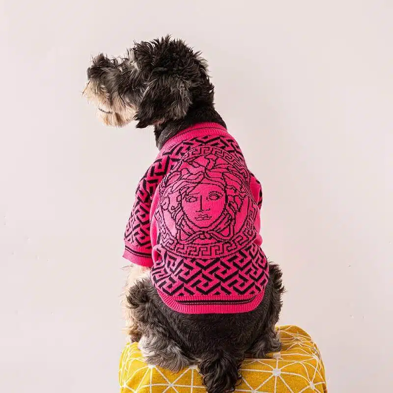 Versace dog clothing for winter