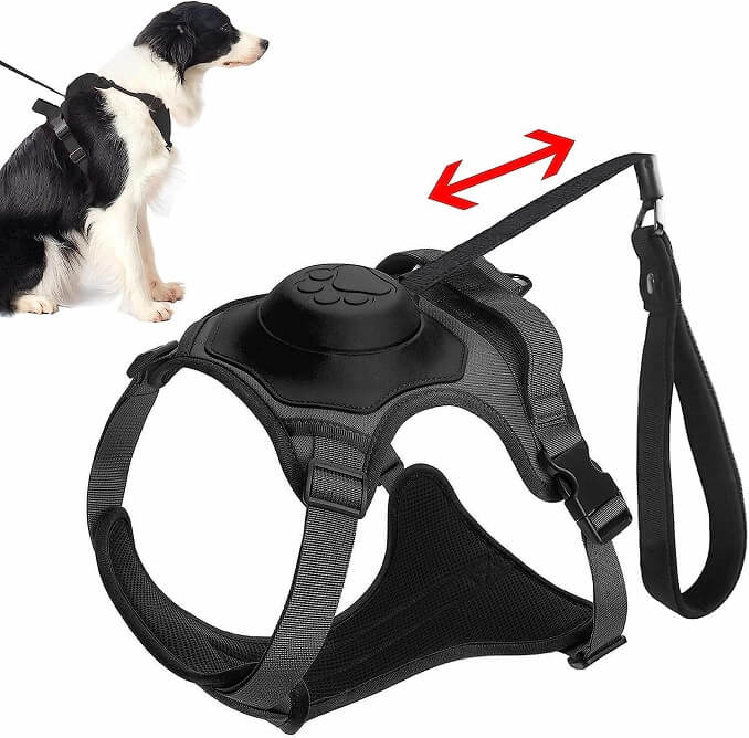 FF dog harness set, LV dog harness leash,Gucci small dog no pull harness,2022  best, Dogdesignershop