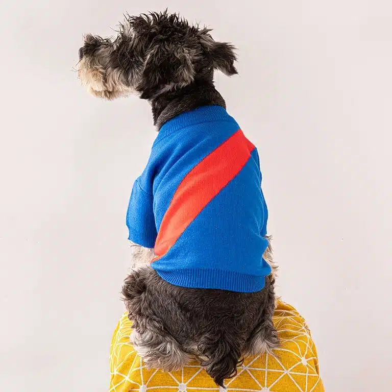 Dog sweaters for small dogs