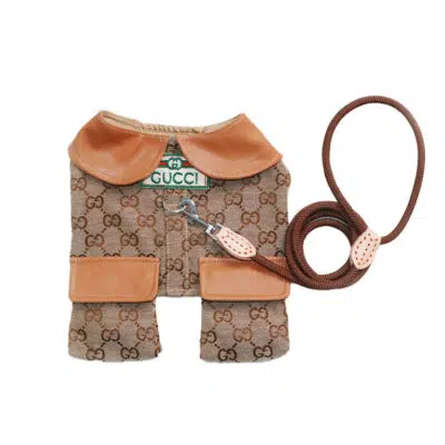 GUCCI puppy coat with harness