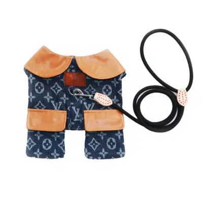 LV dog coat with harness