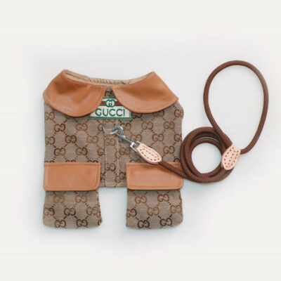 GUCCI puppy coat with harness