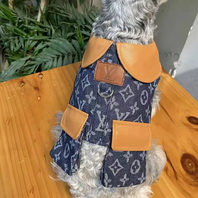 LV dog coat with harness