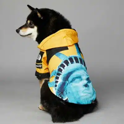 The best new dog rain jacket