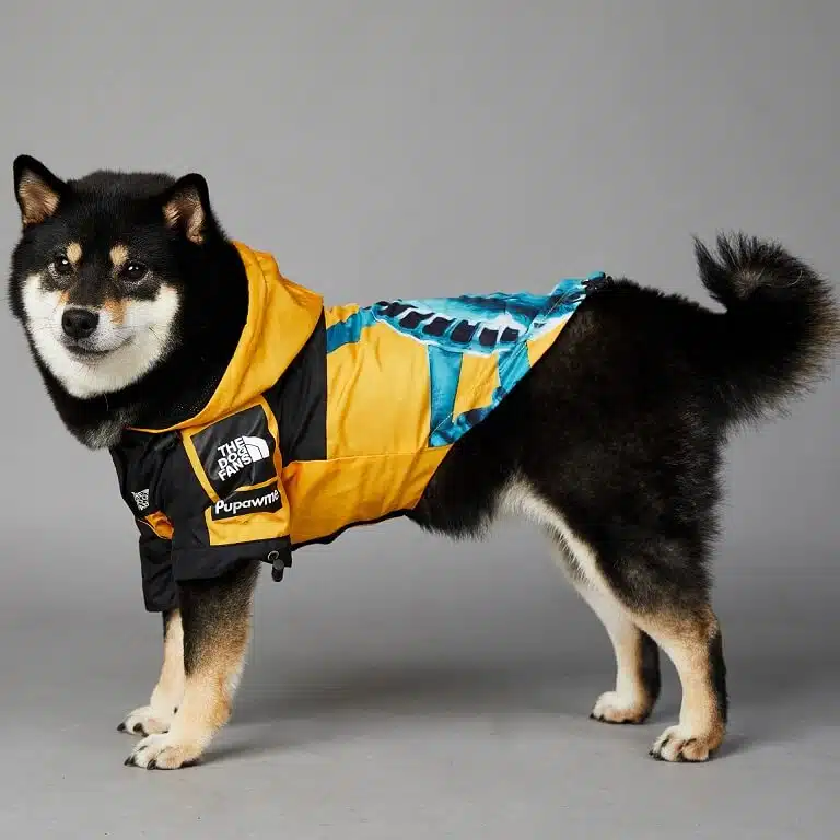 The best new dog rain jacket