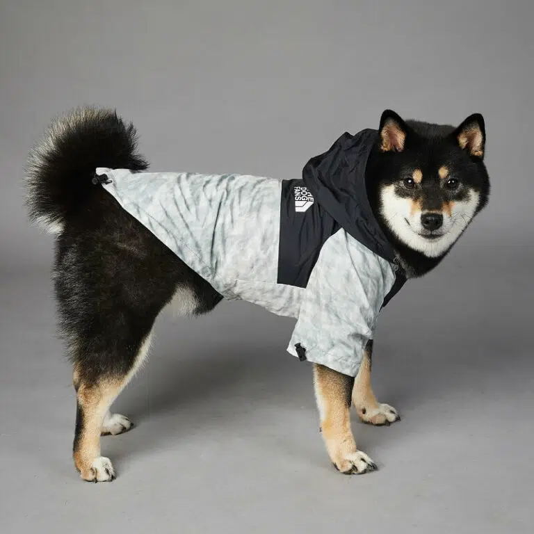 The dog fans dog raincoat